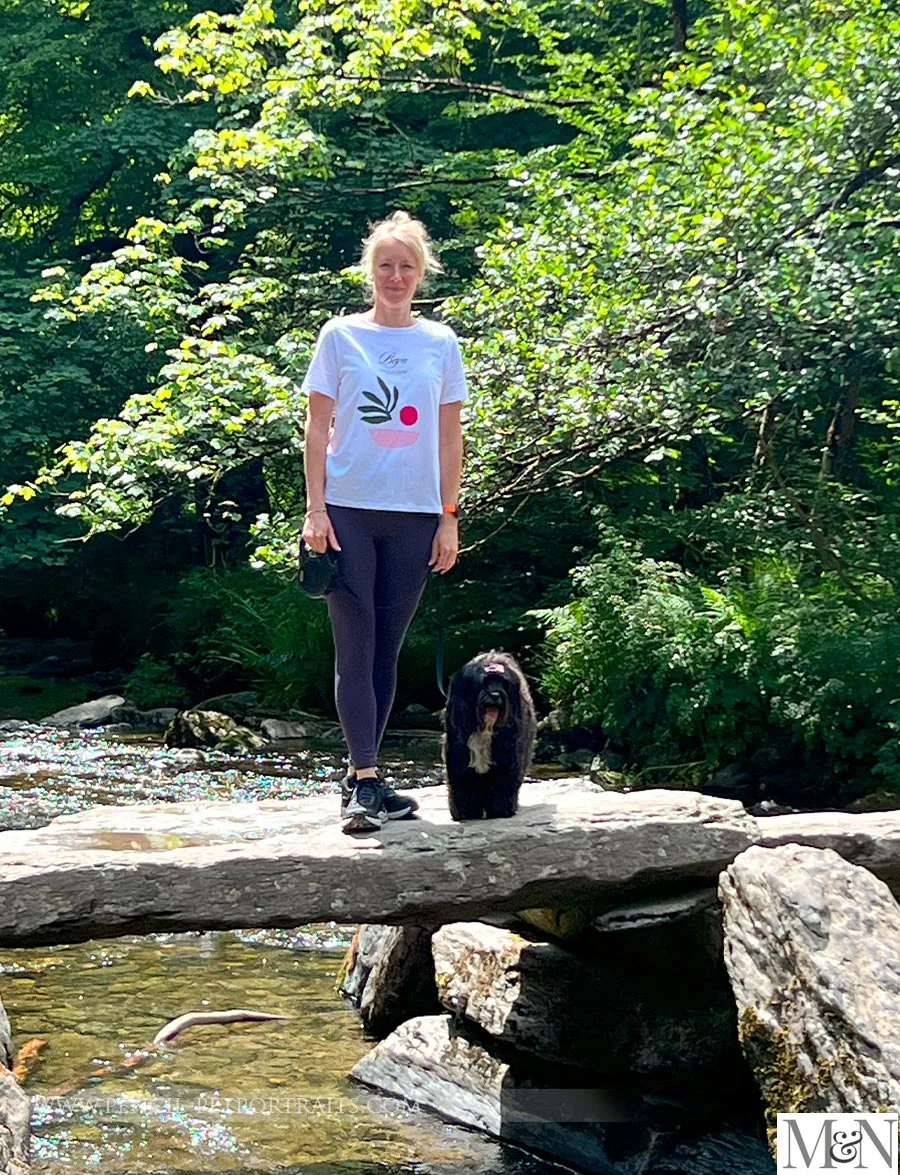 Tarr Steps, an ancient clapper bridge, located in Devon, England.