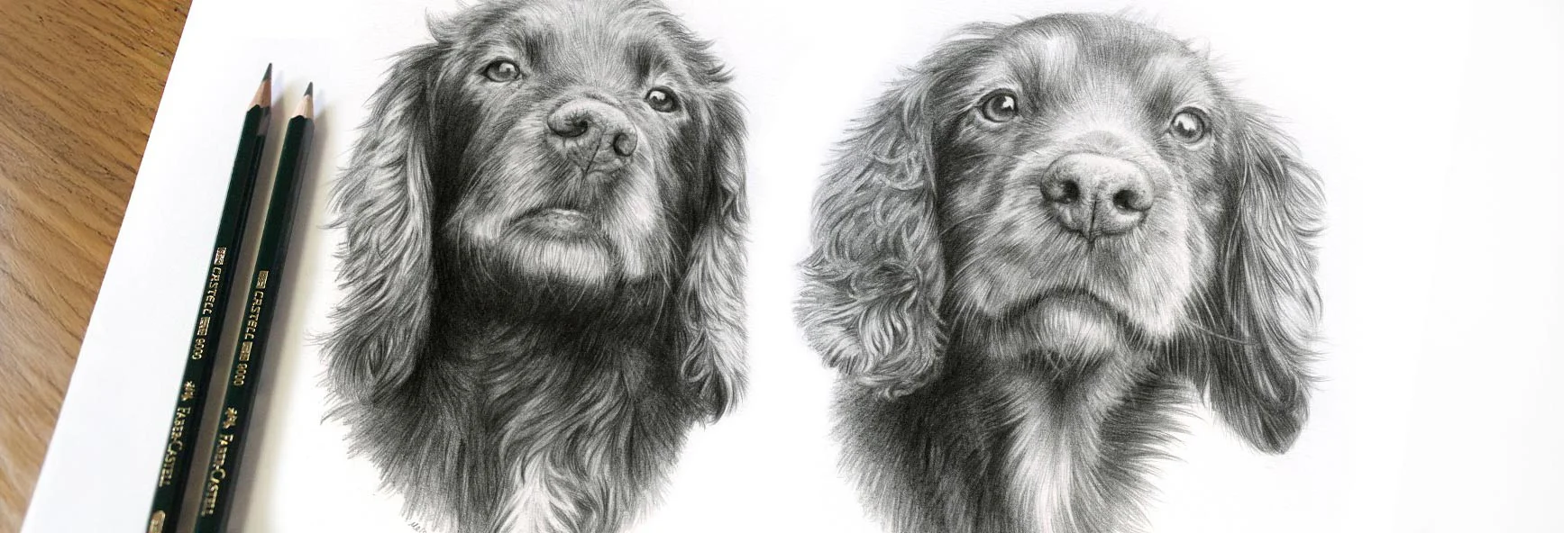 Close-up of a combined pencil portrait of multiple pets, showcasing detail and composition by Melanie Phillips.