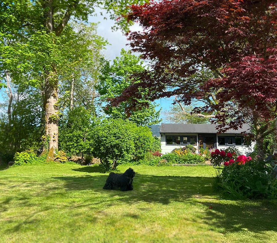 Exterior view of Melanie Phillips' peaceful garden art studio.