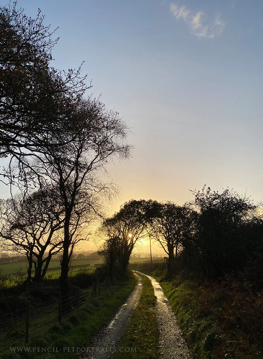 A scenic path winding through the green landscape of West Wales.