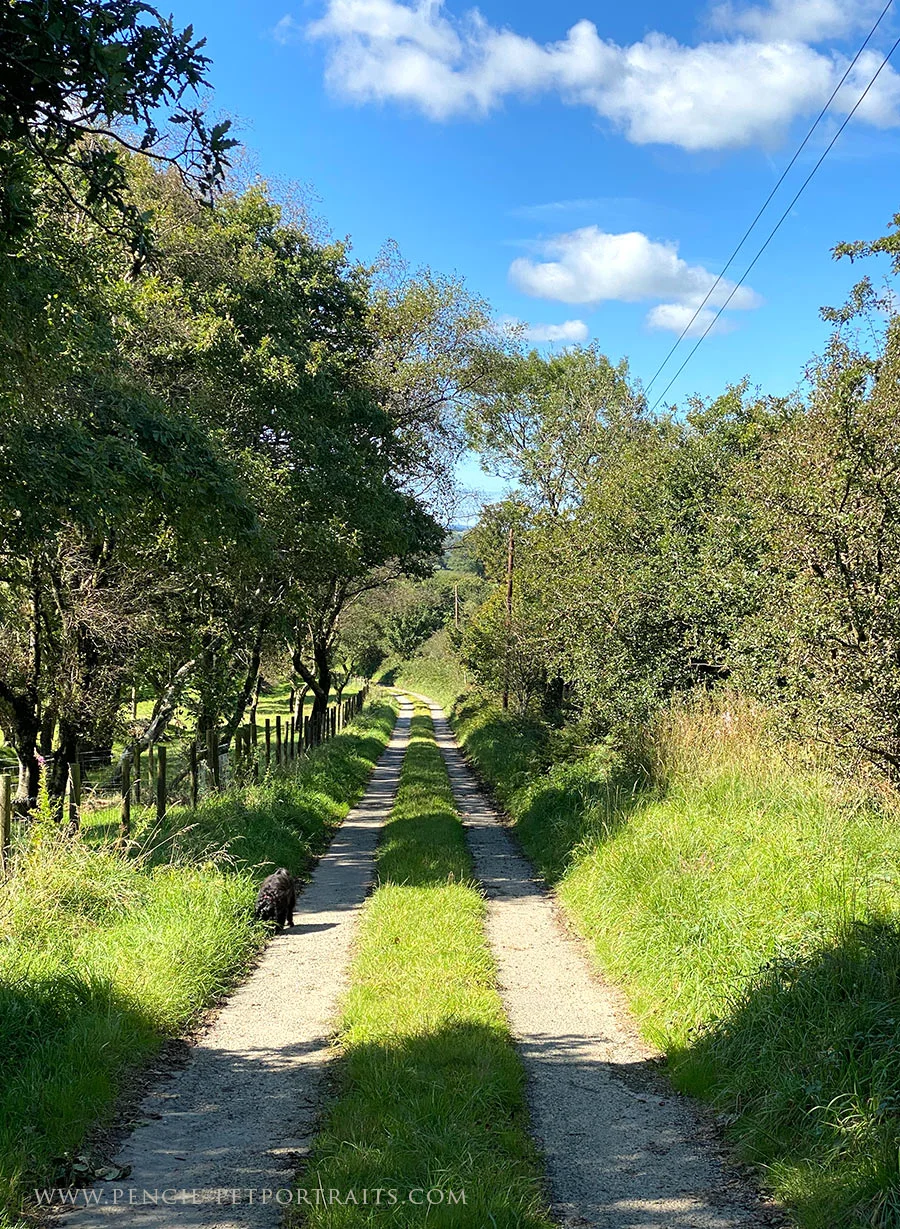 A picturesque landscape view in West Wales, possibly from a high vantage point.