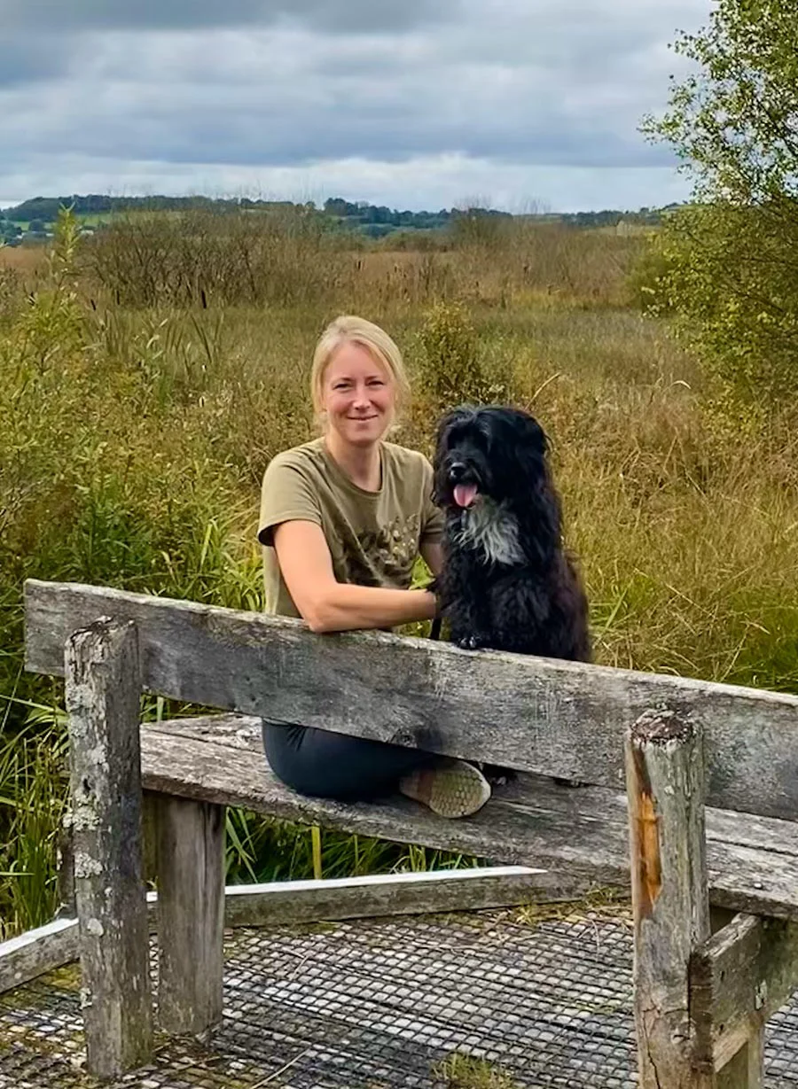 A scenic view of a boardwalk through a bog at Tregaron, perfect for wildlife watching.