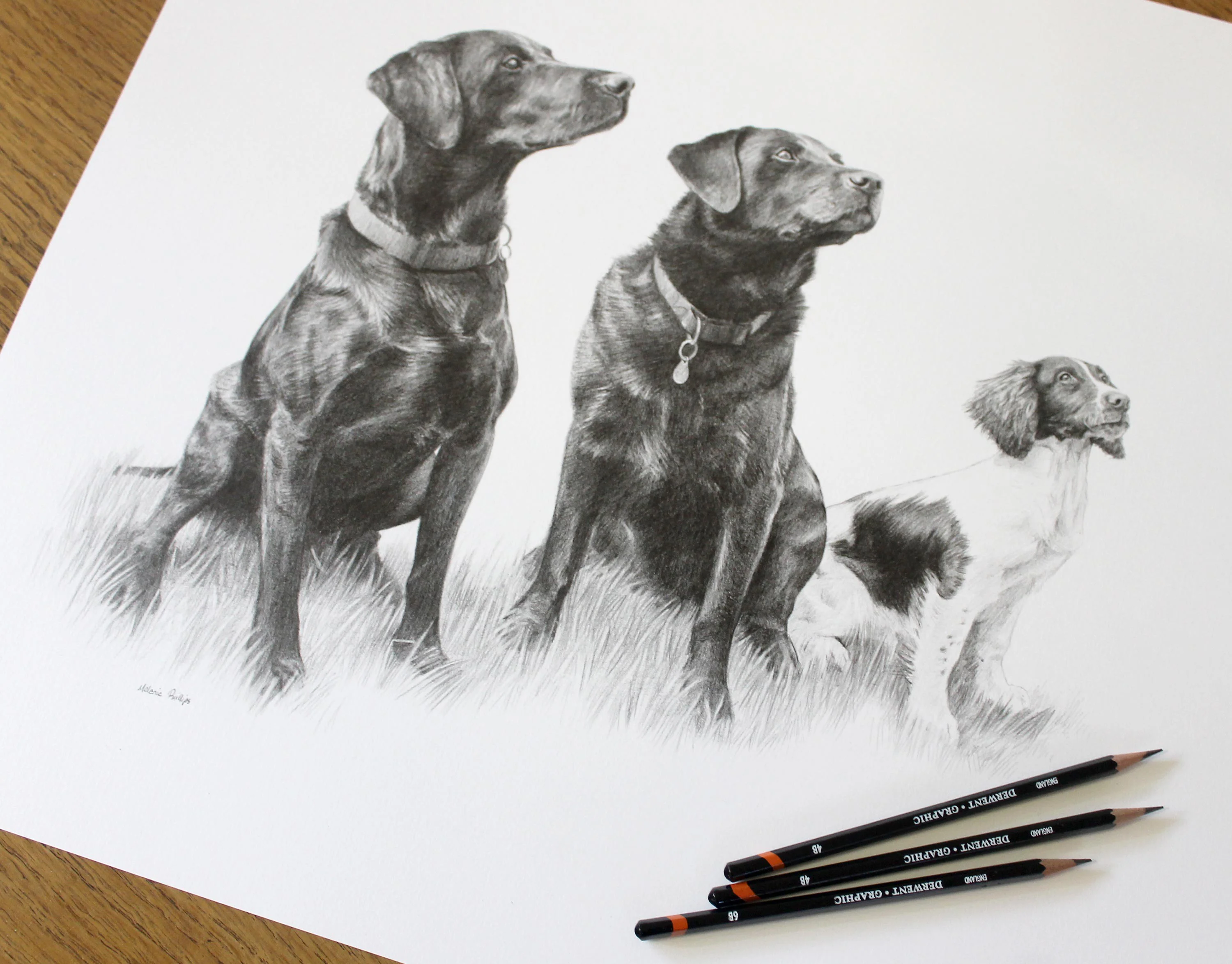 Another view of the framed Black Labrador triple portrait on a wall