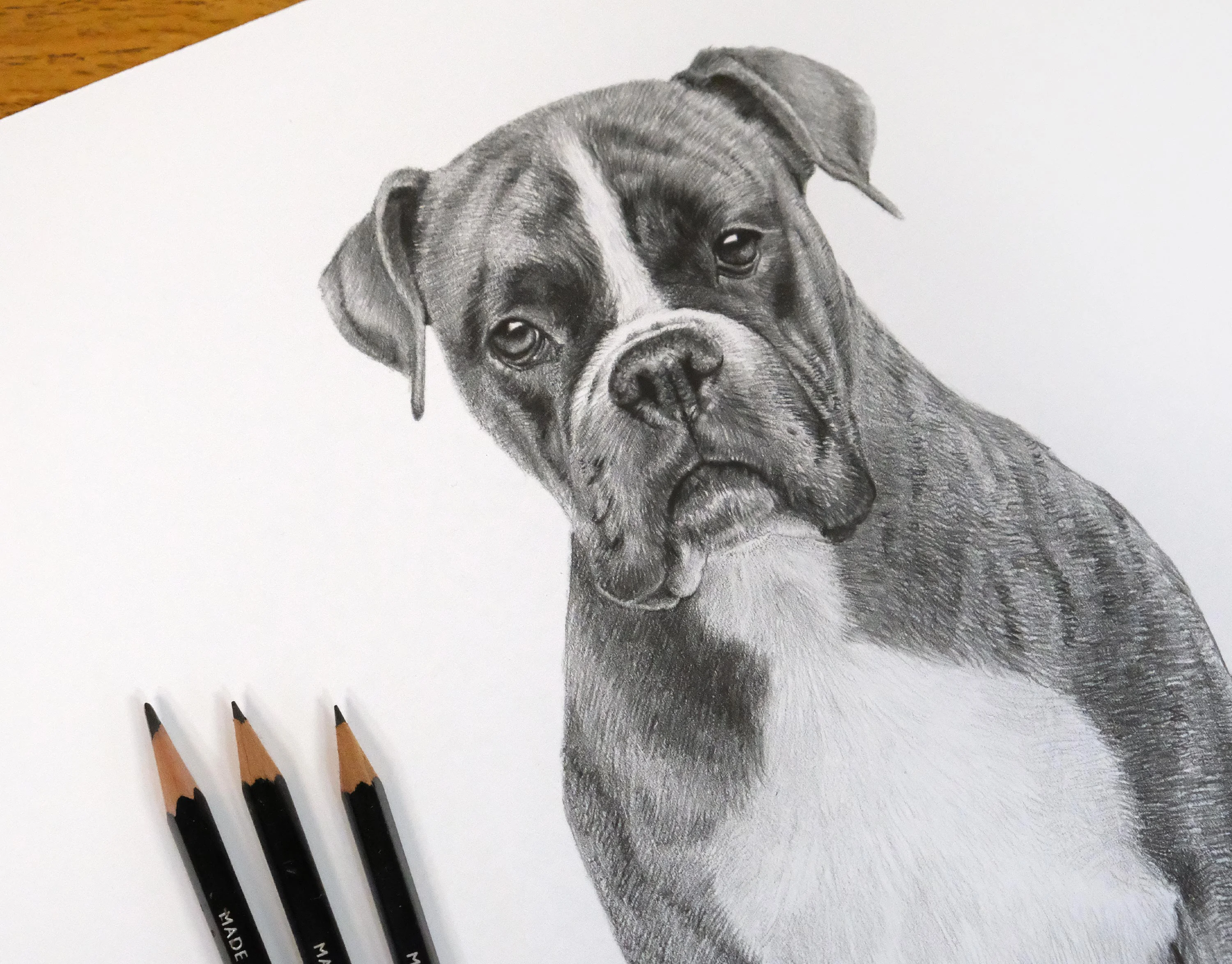 Pencil illustration of a barn door for pet food branding