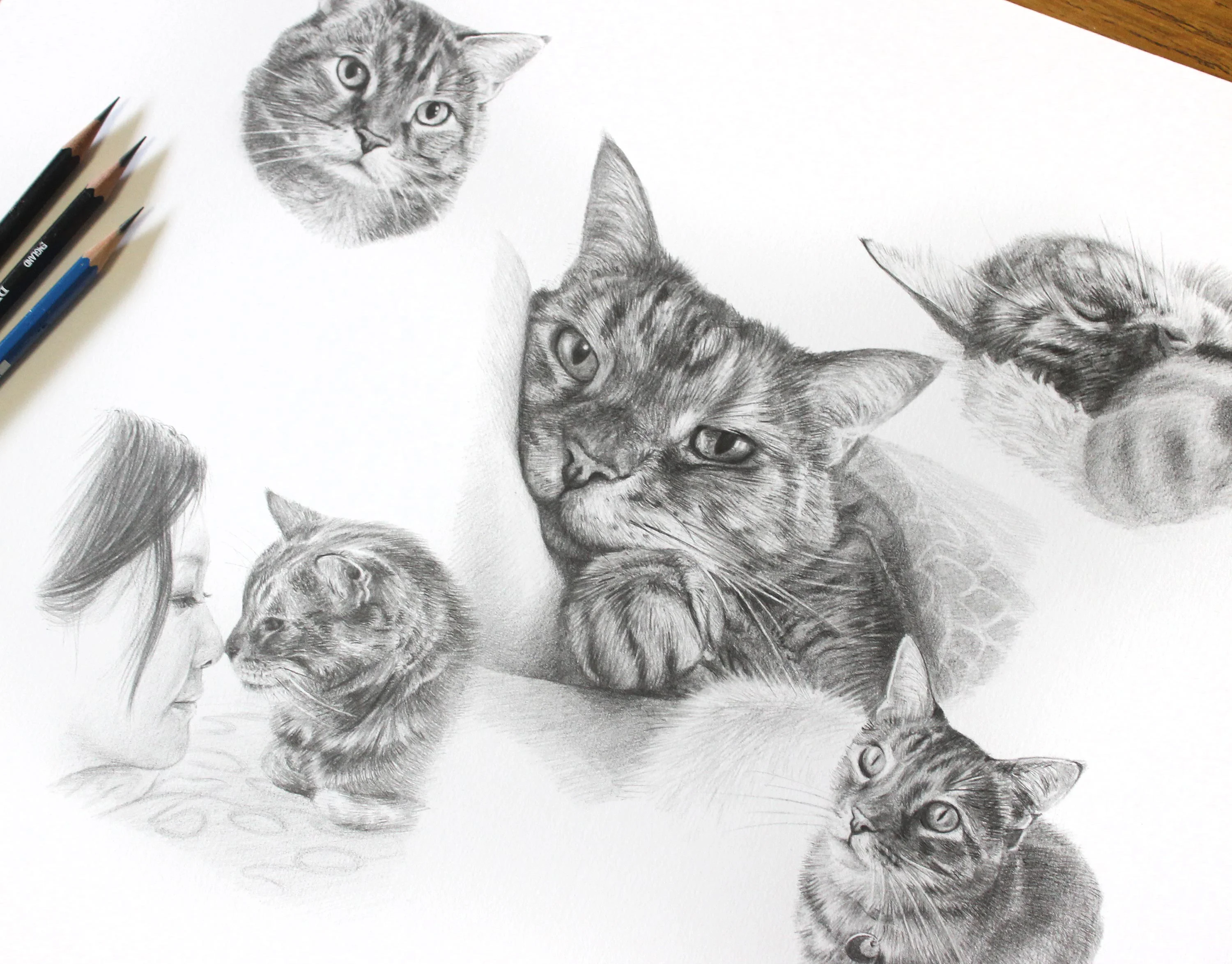 The custom cat Life Story Portrait portrait of Gilli, beautifully framed and ready for display.