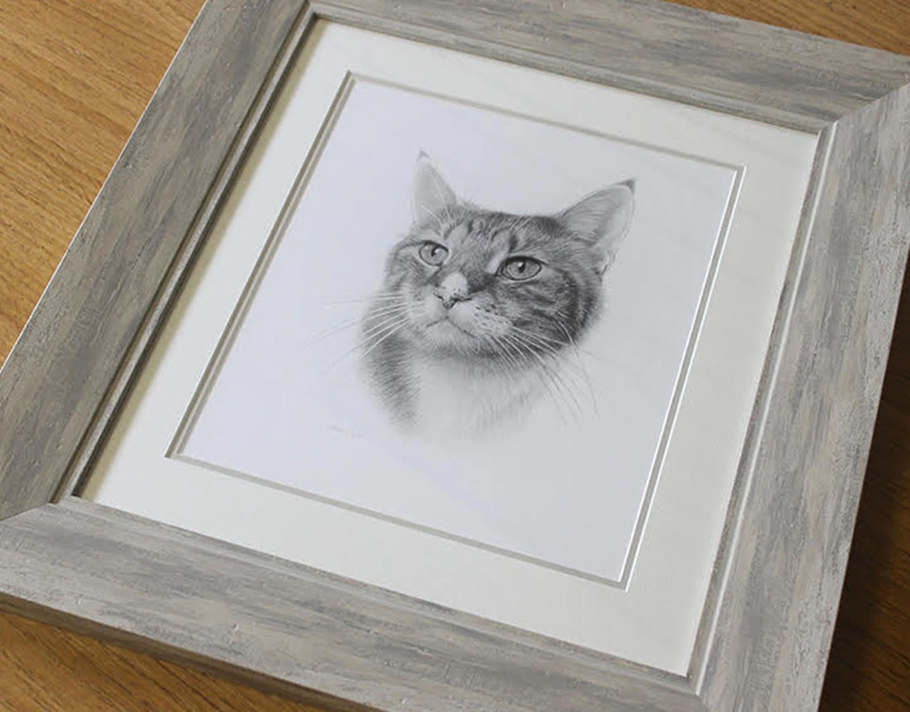Final display of Tyson's pencil portrait, showcasing its detail.