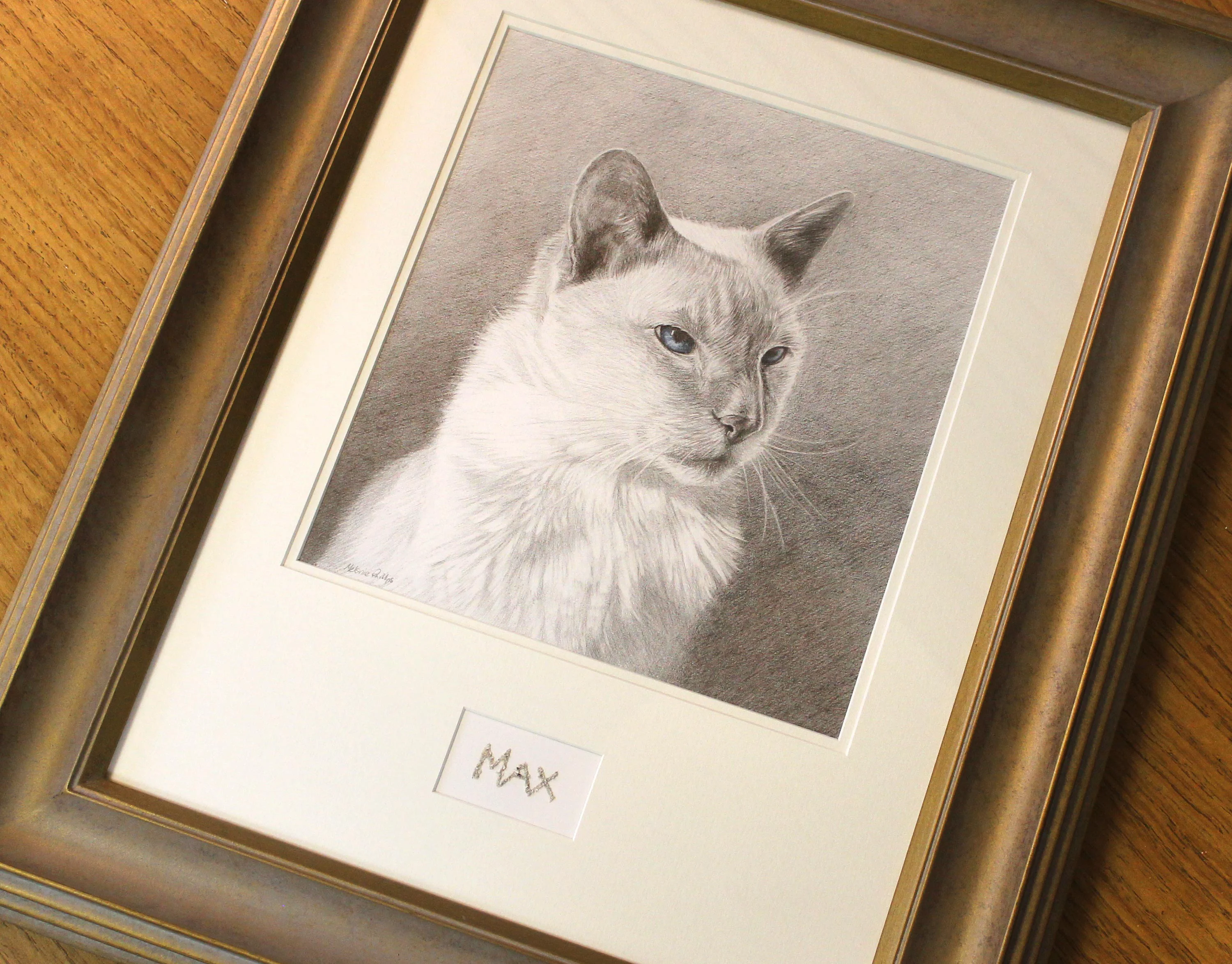 Full view of the custom pencil and coloured pencil memorial portrait of Max the Siamese cat.