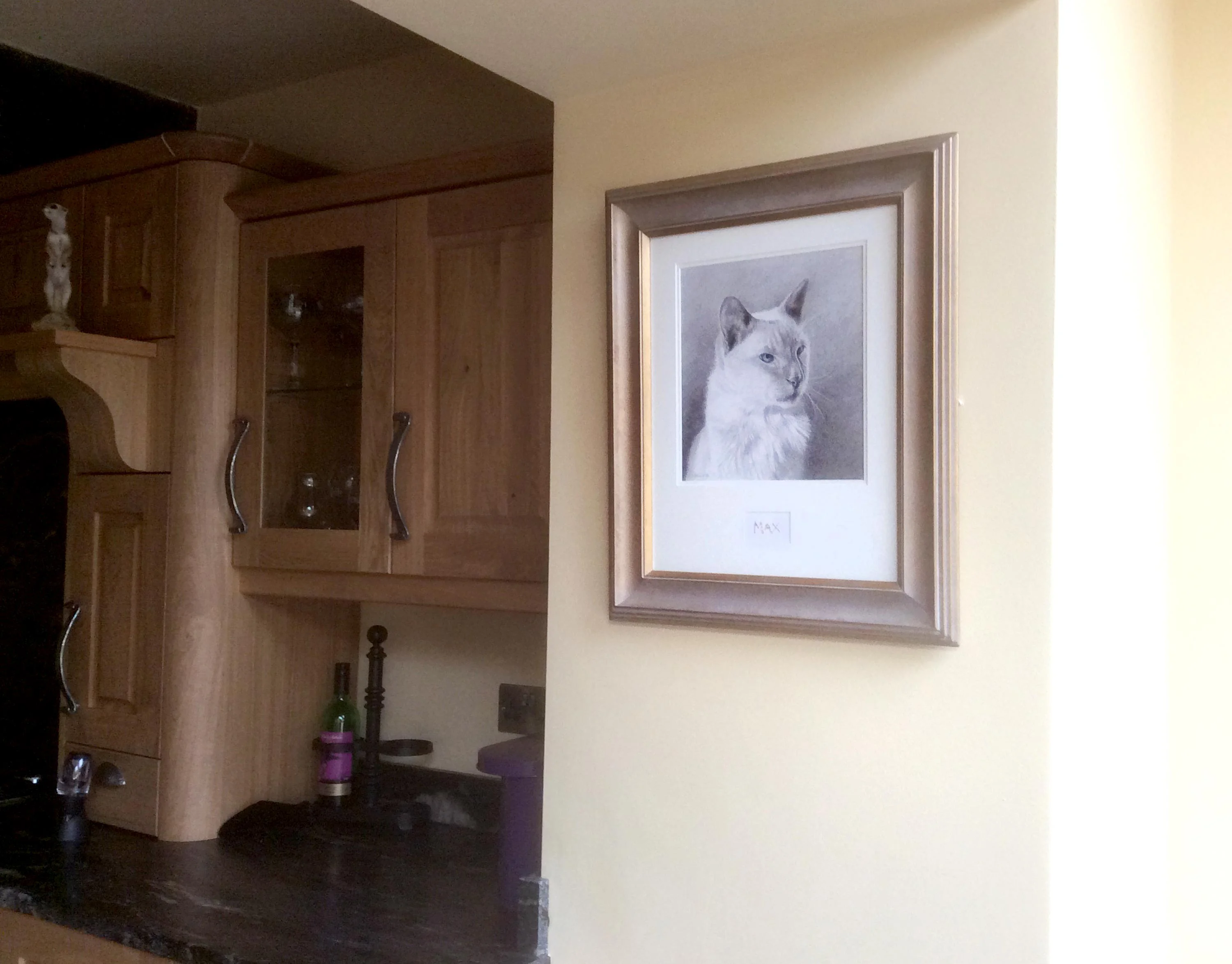 Max's memorial cat portrait displayed in Rebecca's home, between a kitchen and sun-room.