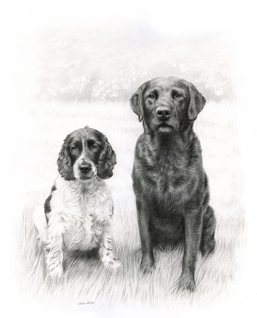 Reference photo of Stanley, a Black Labrador, and Jarvis, a Cocker Spaniel, for a custom pencil portrait.
