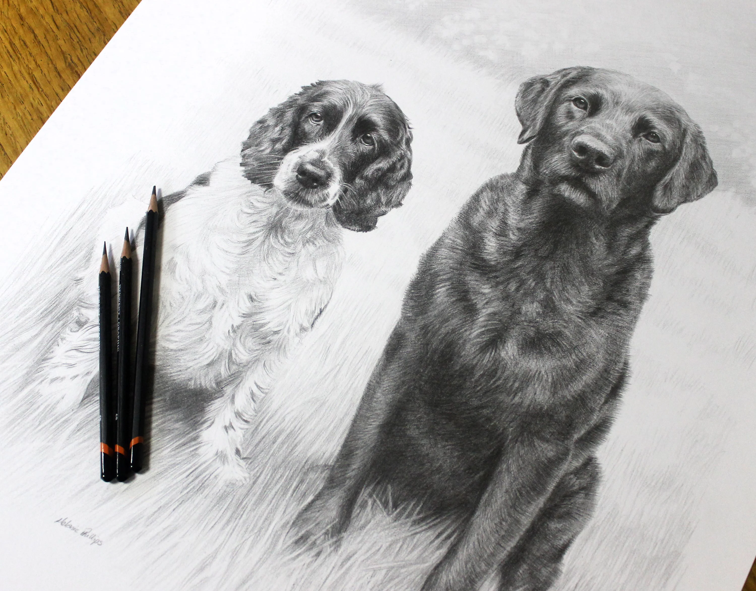 Detailed progress shot of the double pencil portrait of Stanley and Jarvis.