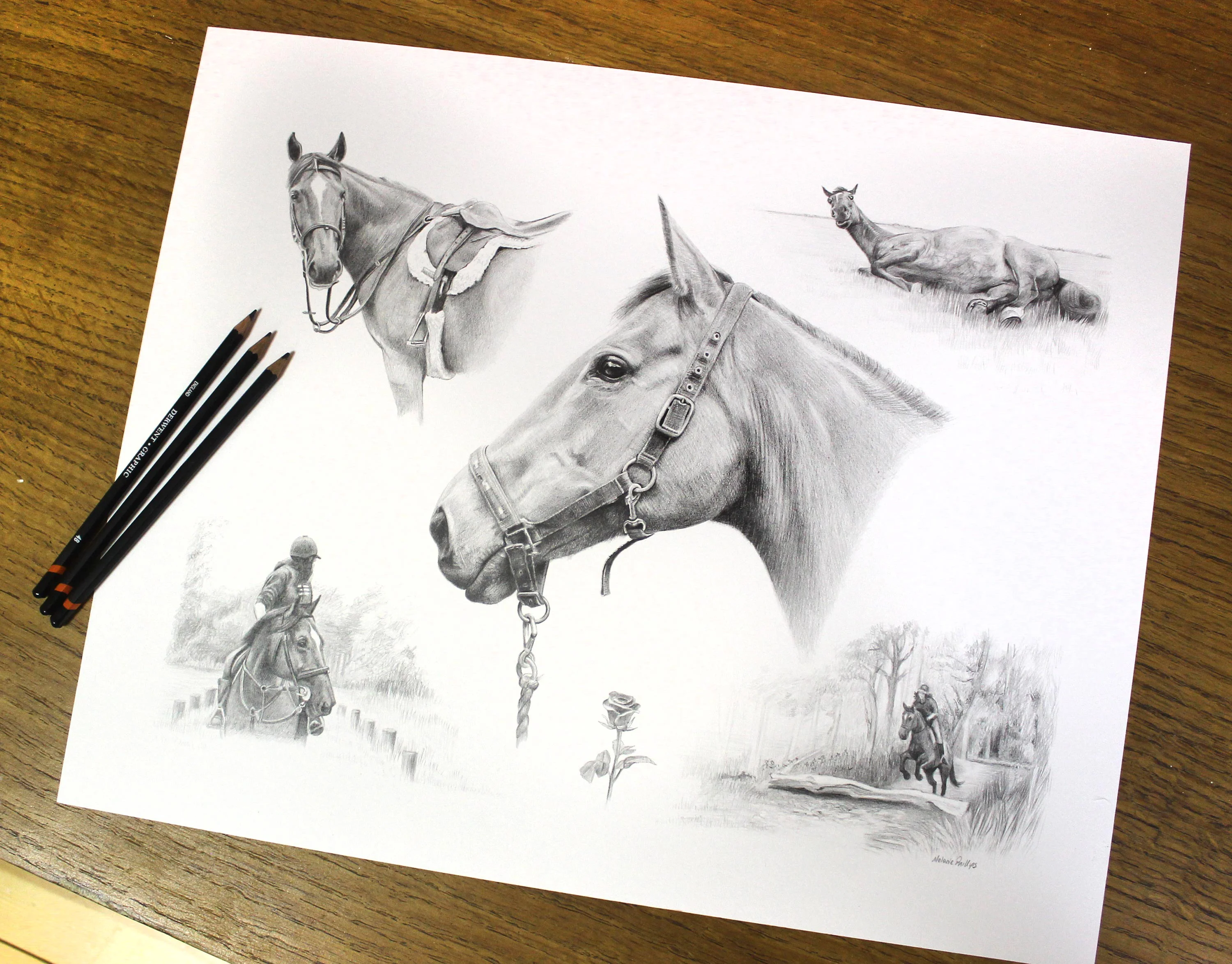 Close-up detail of the horse Rose's head within the pencil Life Story Portrait portrait, showing texture.