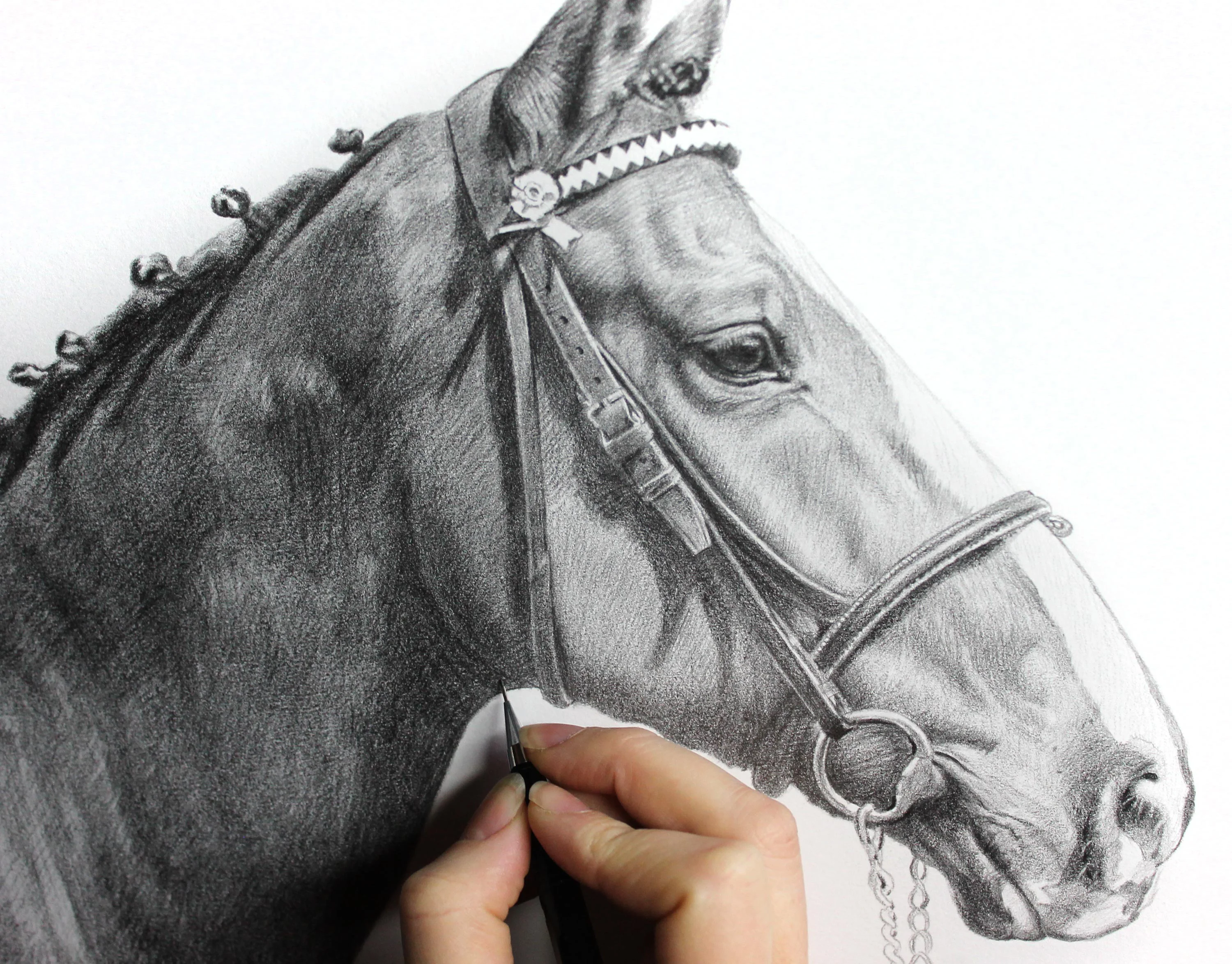 The pencil portrait of Jenkins the horse displayed on a small easel.