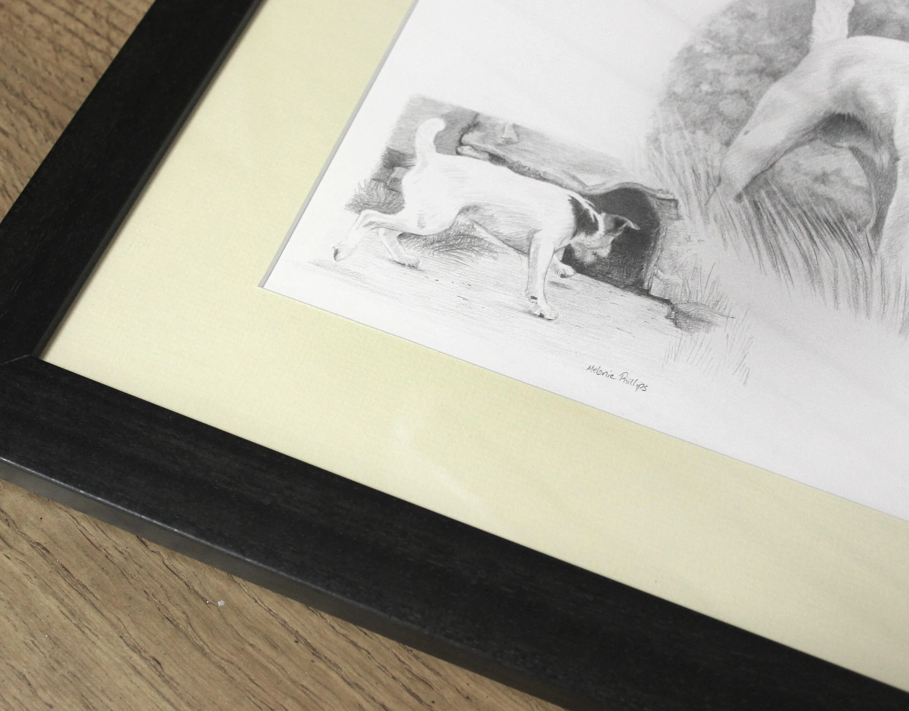 Another perspective of the finished Jack Russell pencil portrait of Dean.