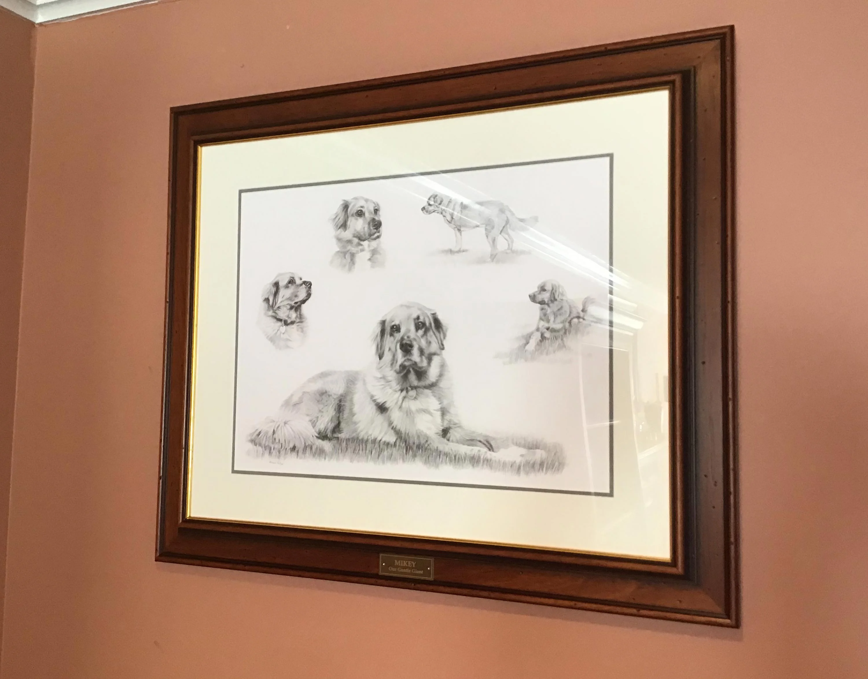 Close-up detail of Mikey's three-legged pose within the Golden Retriever Life Story Portrait pencil portrait.