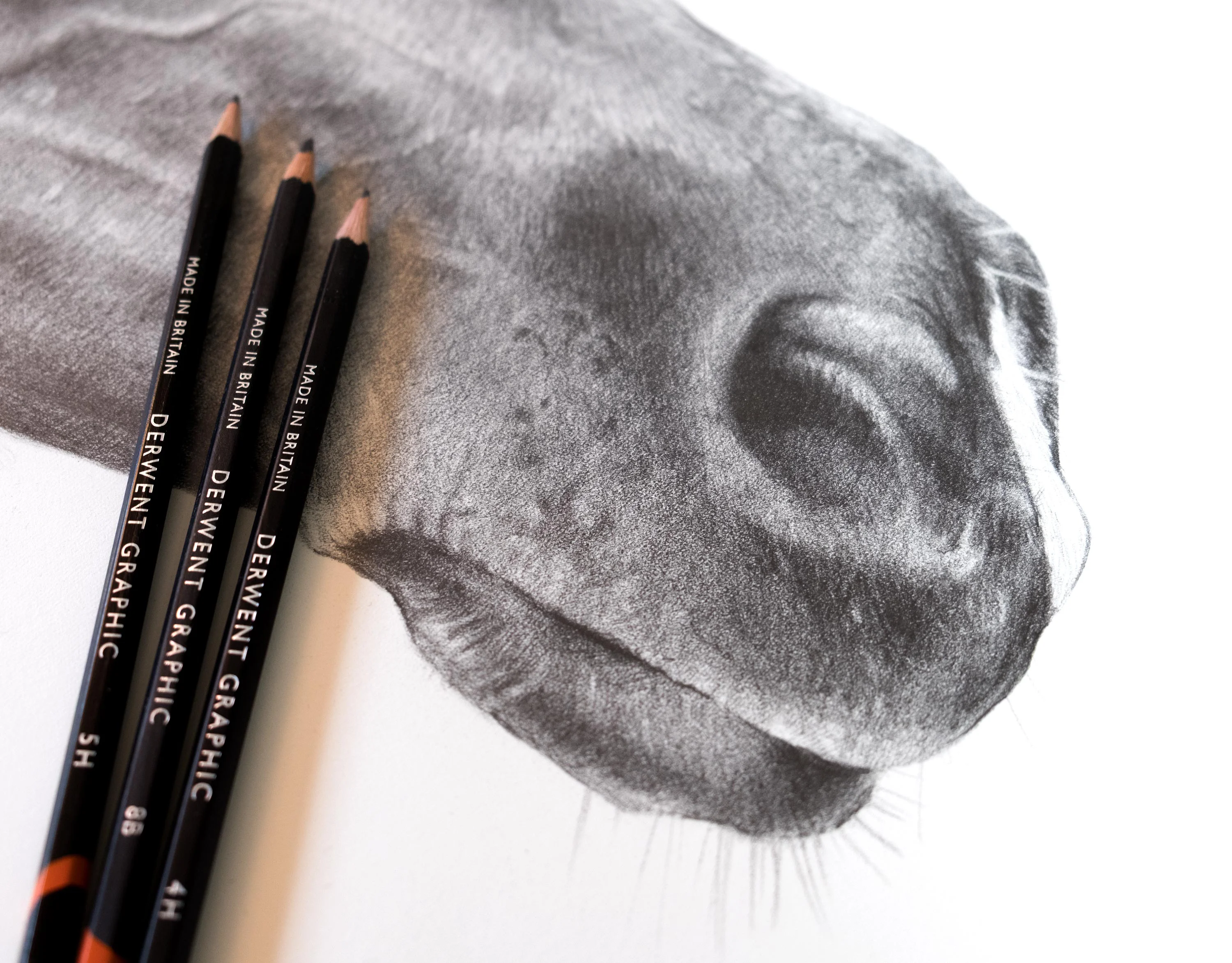 The large pencil portrait of Flash the horse, displayed on an easel.