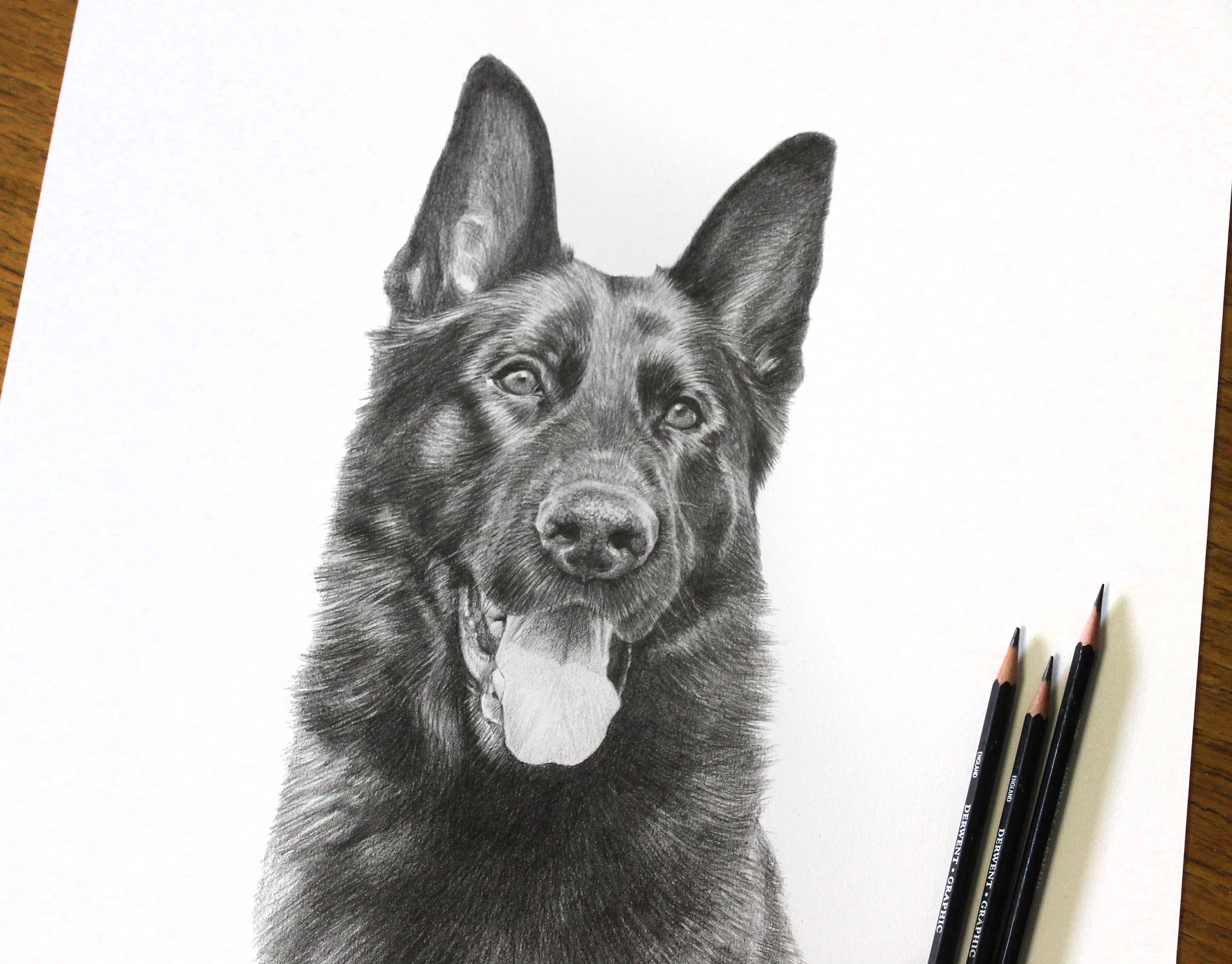 Close-up detail of the finished pencil portrait of Django, showcasing the artistic detail.