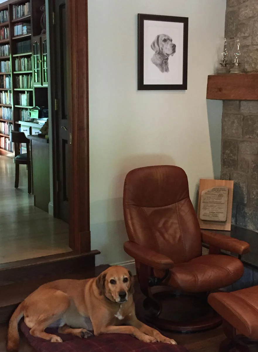 The finished pencil portrait of Rusty, showing the full portrait and the detailed drawing.