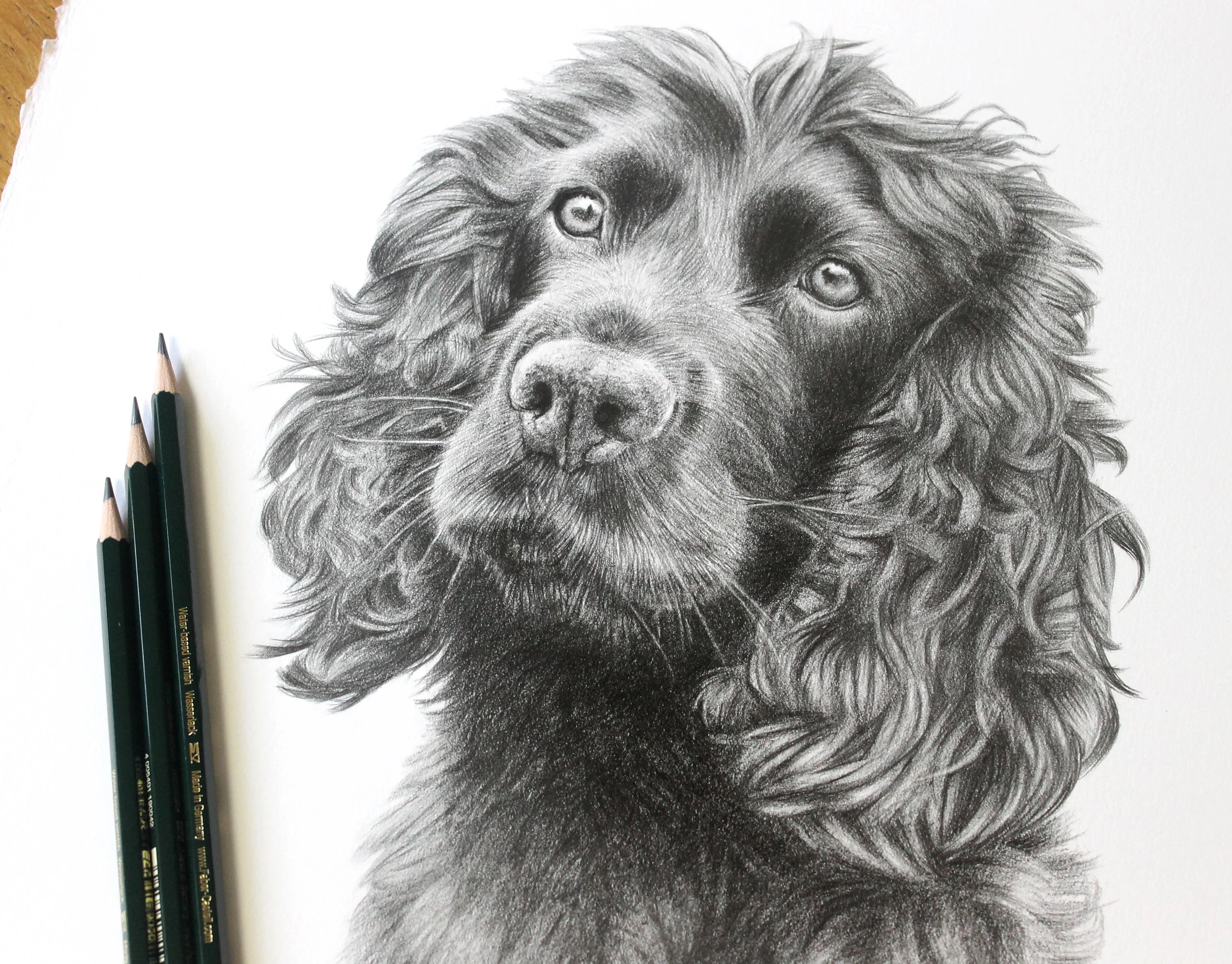 Dave, Brodie's owner, posing with the framed pencil portrait of Brodie the Spaniel.