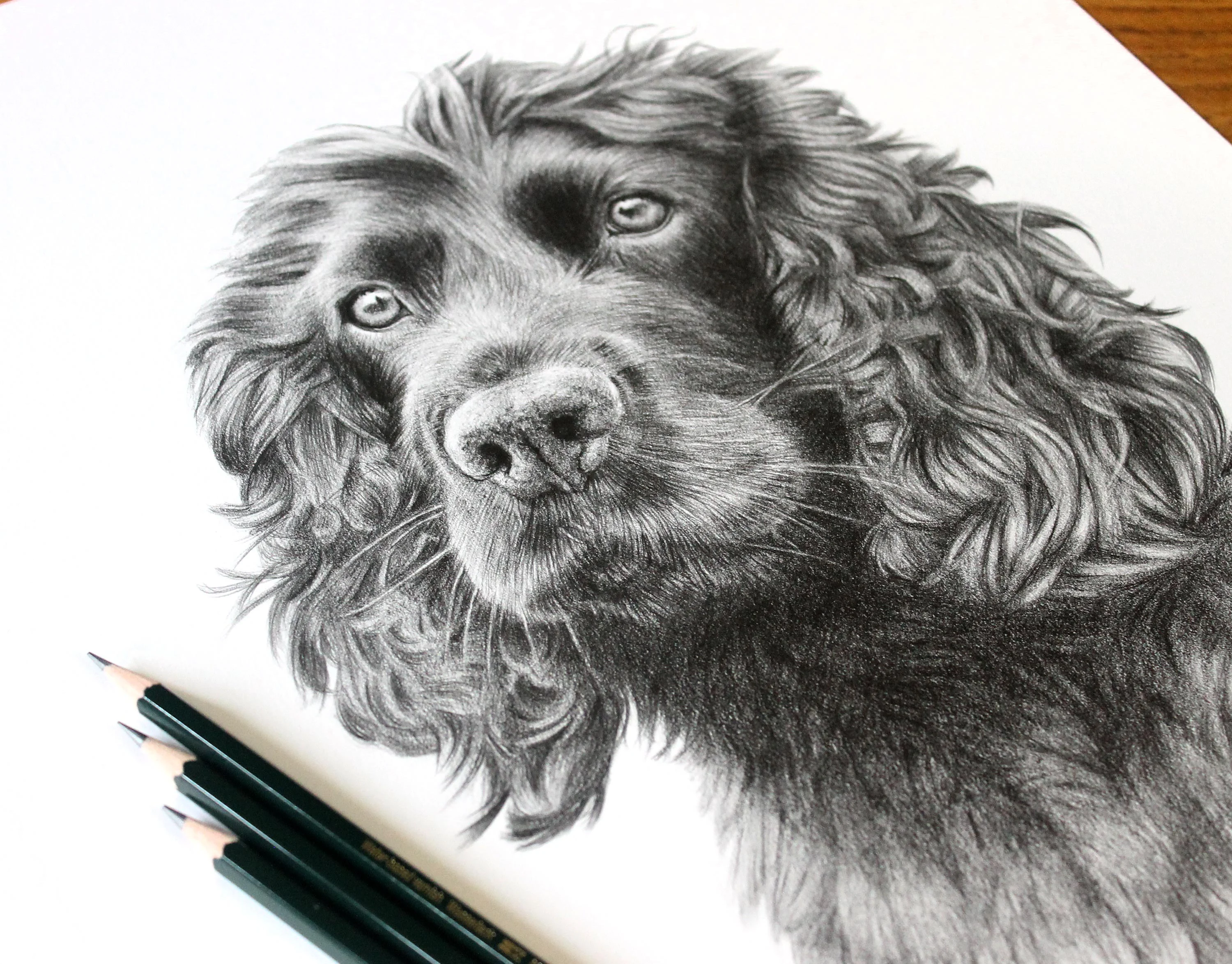 A close-up view of the framed pencil portrait of Brodie, showing the artistic detail and custom frame.