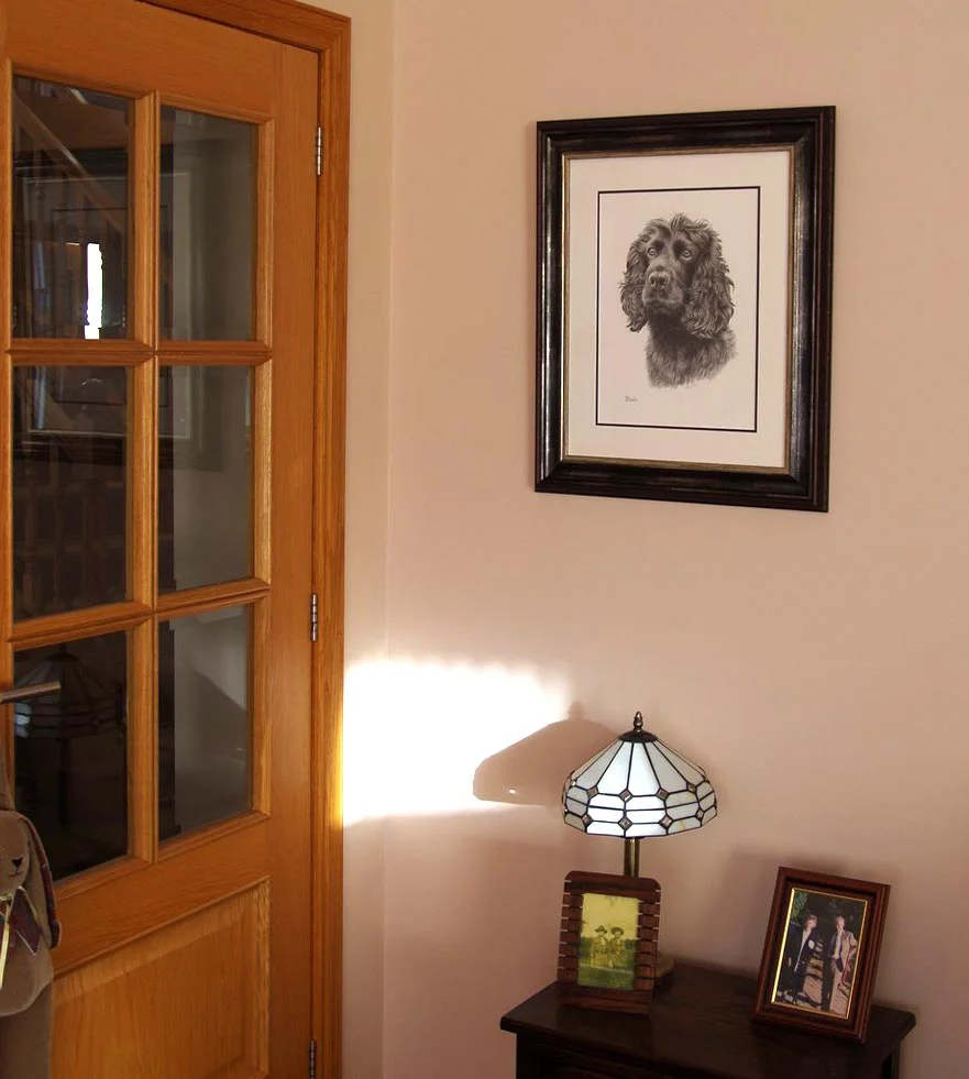 Brodie the Spaniel's pencil portrait framed on a wall, showing the full portrait in its setting.
