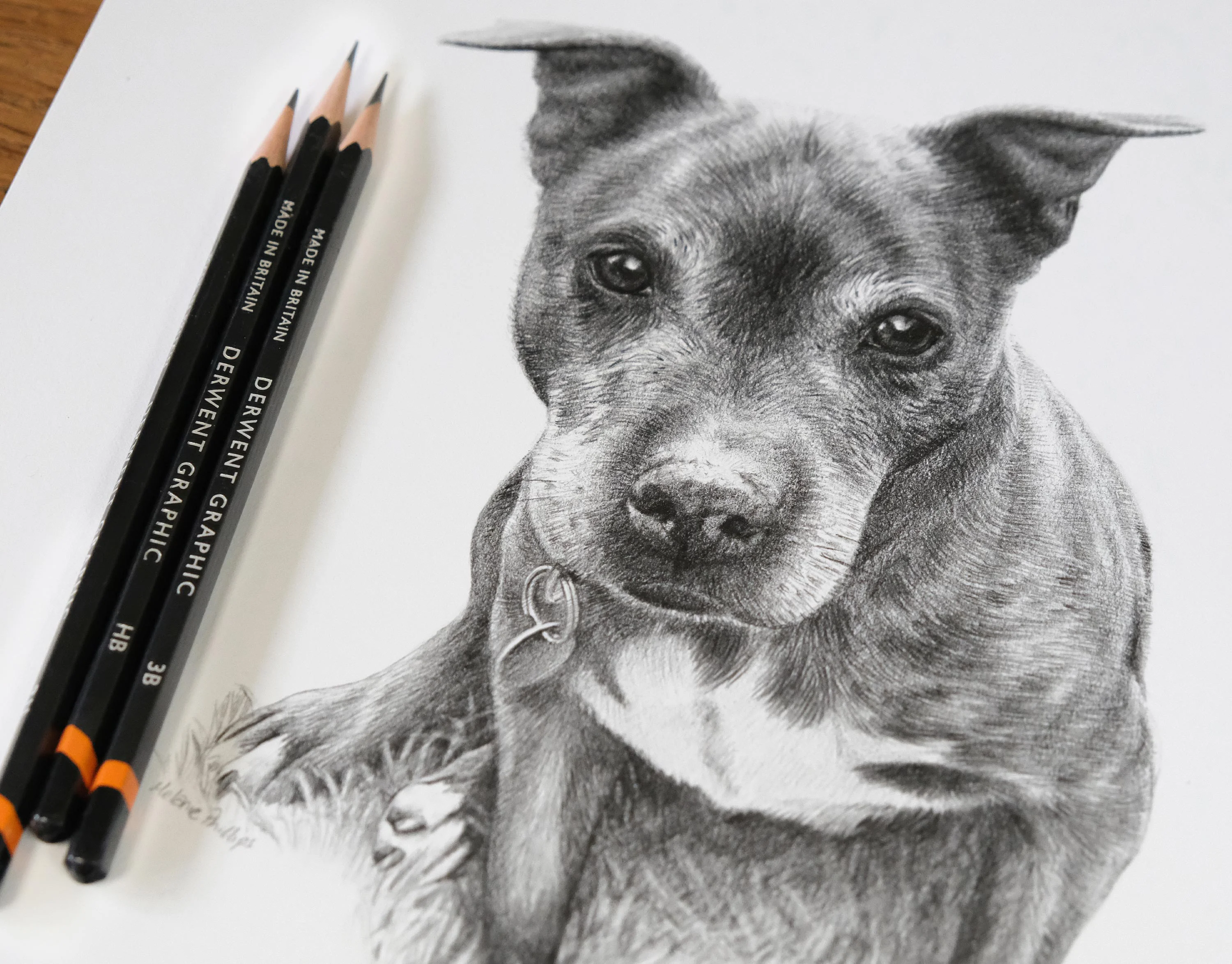 The framed pencil portrait of Stormy, showcasing the Madison slate frame and double mount.